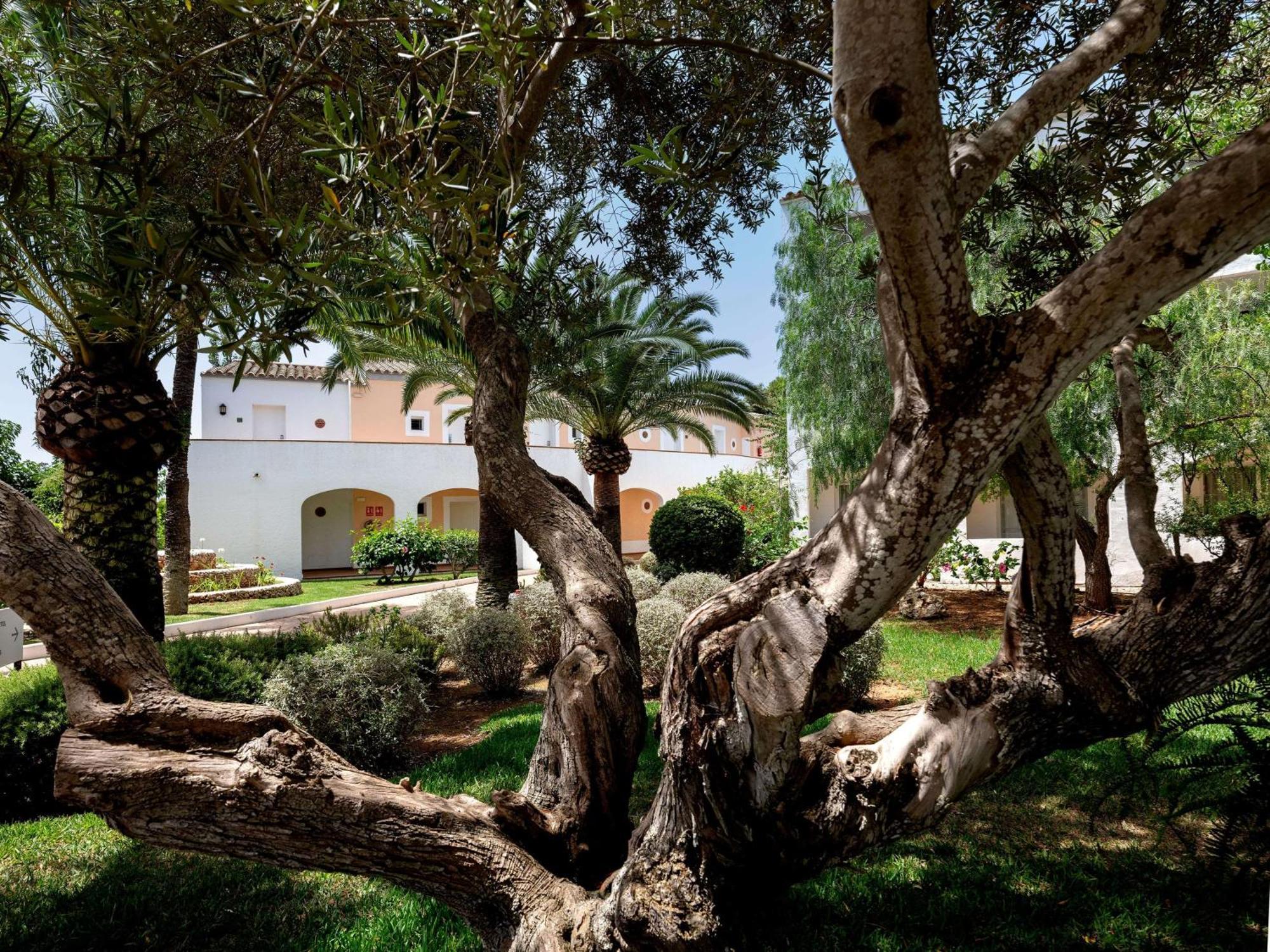 Sol Falco Menorca Сон Соригер Екстериор снимка